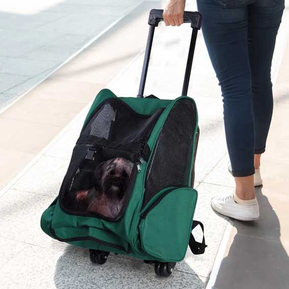 trasportino trolley per cani