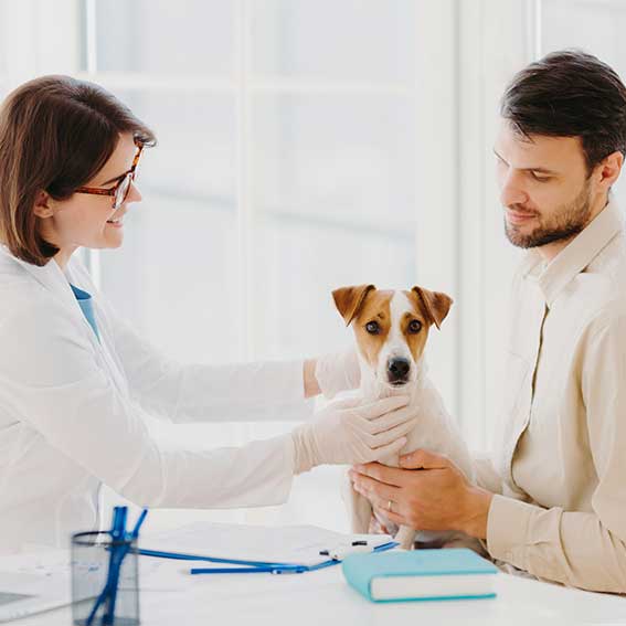 visita veterinario con cane