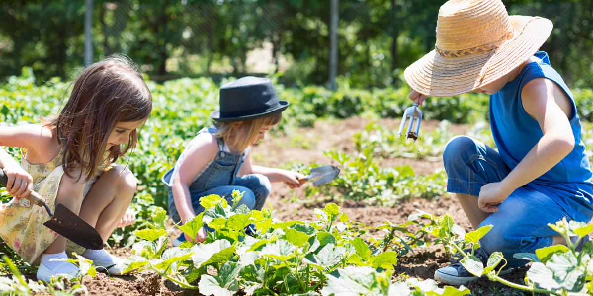 fare un orto in giardino