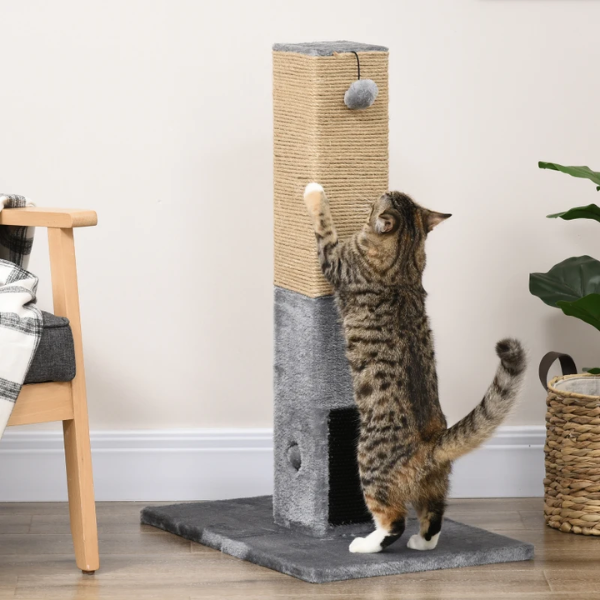 gatto con tiragraffi a colonna